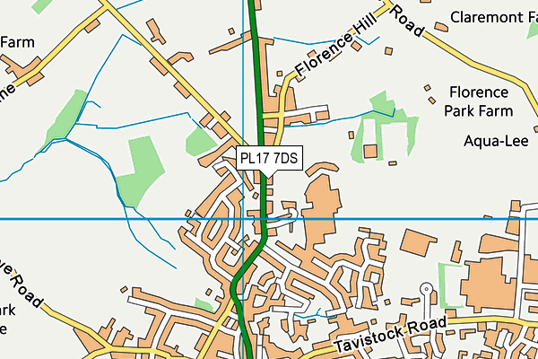 PL17 7DS map - OS VectorMap District (Ordnance Survey)