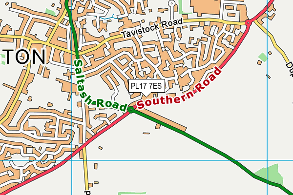 PL17 7ES map - OS VectorMap District (Ordnance Survey)