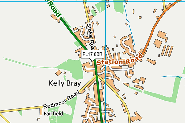 PL17 8BR map - OS VectorMap District (Ordnance Survey)