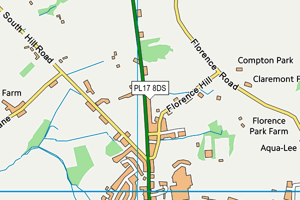 PL17 8DS map - OS VectorMap District (Ordnance Survey)