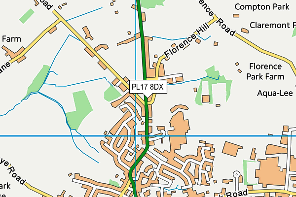 PL17 8DX map - OS VectorMap District (Ordnance Survey)