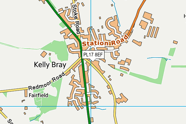 PL17 8EF map - OS VectorMap District (Ordnance Survey)