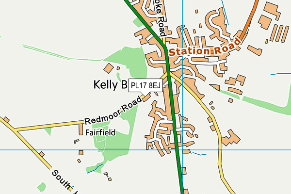 PL17 8EJ map - OS VectorMap District (Ordnance Survey)