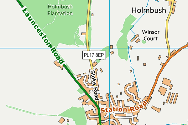 PL17 8EP map - OS VectorMap District (Ordnance Survey)