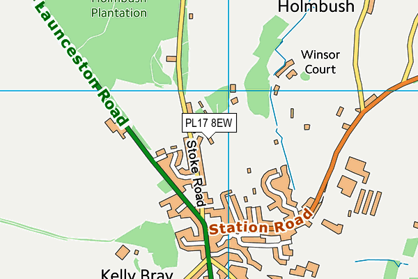 PL17 8EW map - OS VectorMap District (Ordnance Survey)