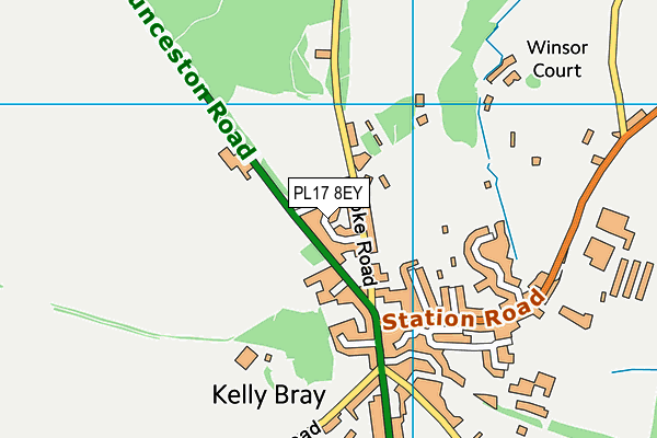 PL17 8EY map - OS VectorMap District (Ordnance Survey)