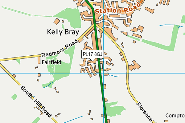 PL17 8GJ map - OS VectorMap District (Ordnance Survey)