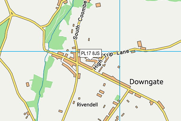 PL17 8JS map - OS VectorMap District (Ordnance Survey)