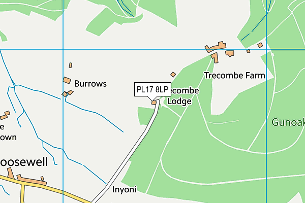 PL17 8LP map - OS VectorMap District (Ordnance Survey)