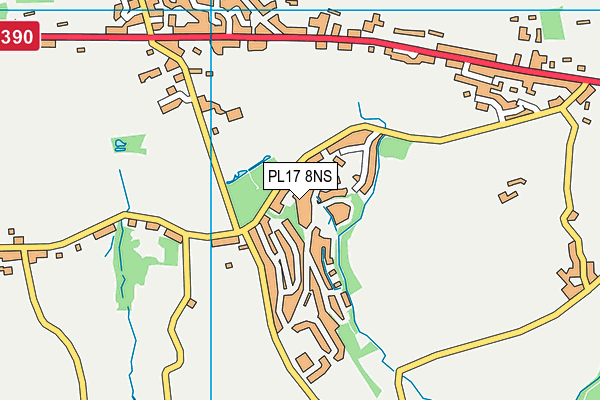 PL17 8NS map - OS VectorMap District (Ordnance Survey)