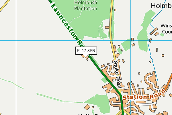 PL17 8PN map - OS VectorMap District (Ordnance Survey)