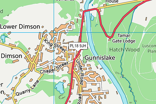 PL18 9JH map - OS VectorMap District (Ordnance Survey)