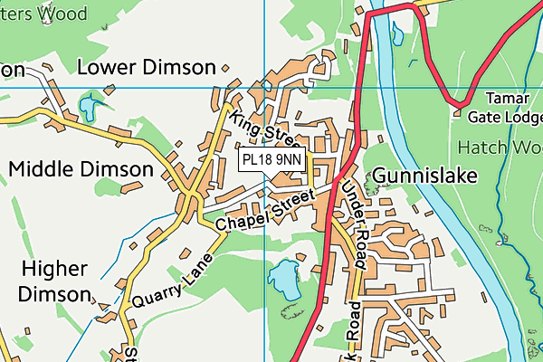 PL18 9NN map - OS VectorMap District (Ordnance Survey)