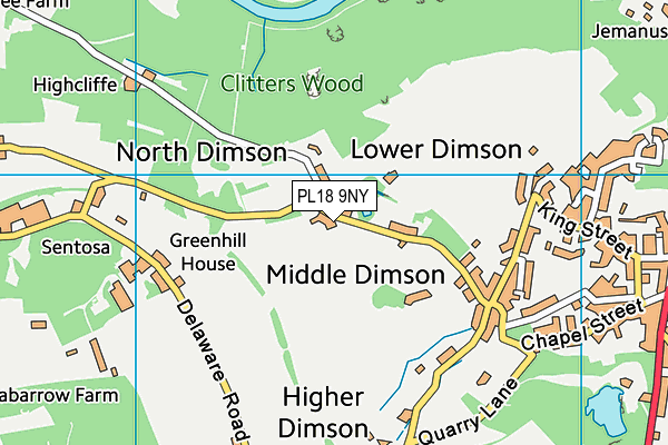 PL18 9NY map - OS VectorMap District (Ordnance Survey)