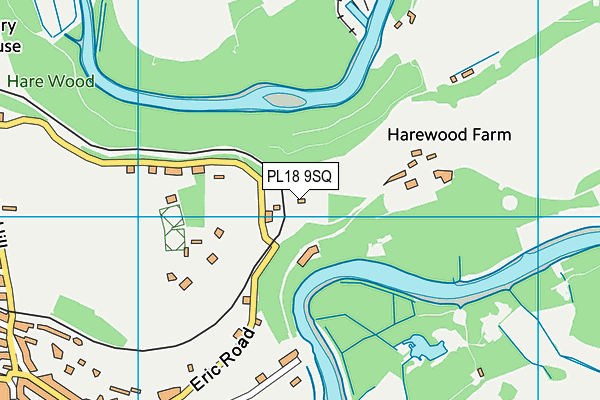 PL18 9SQ map - OS VectorMap District (Ordnance Survey)