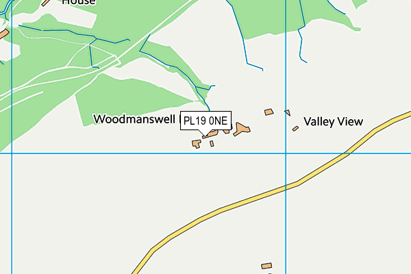 PL19 0NE map - OS VectorMap District (Ordnance Survey)