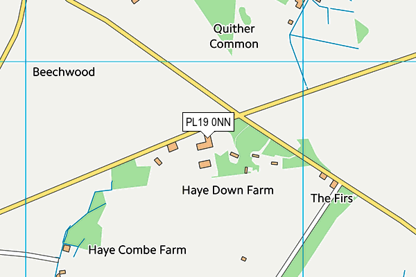 PL19 0NN map - OS VectorMap District (Ordnance Survey)