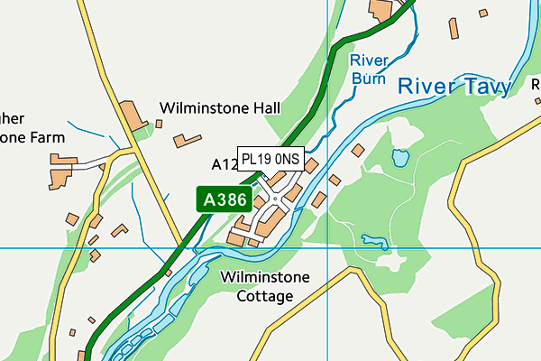 PL19 0NS map - OS VectorMap District (Ordnance Survey)