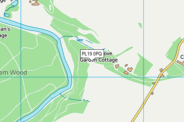 PL19 0PQ map - OS VectorMap District (Ordnance Survey)