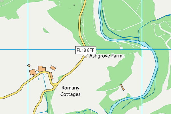 PL19 8FF map - OS VectorMap District (Ordnance Survey)