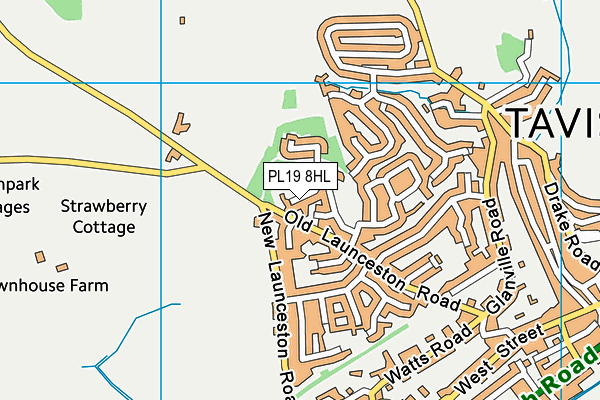 PL19 8HL map - OS VectorMap District (Ordnance Survey)