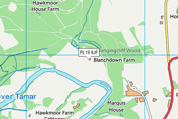 PL19 8JF map - OS VectorMap District (Ordnance Survey)