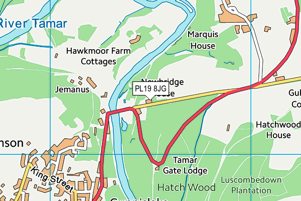 PL19 8JG map - OS VectorMap District (Ordnance Survey)