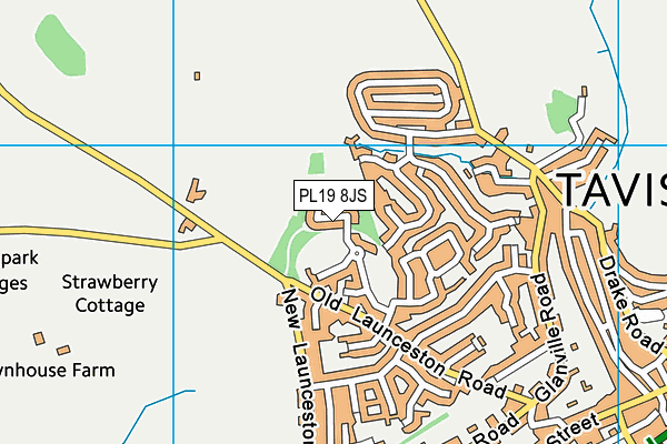 PL19 8JS map - OS VectorMap District (Ordnance Survey)