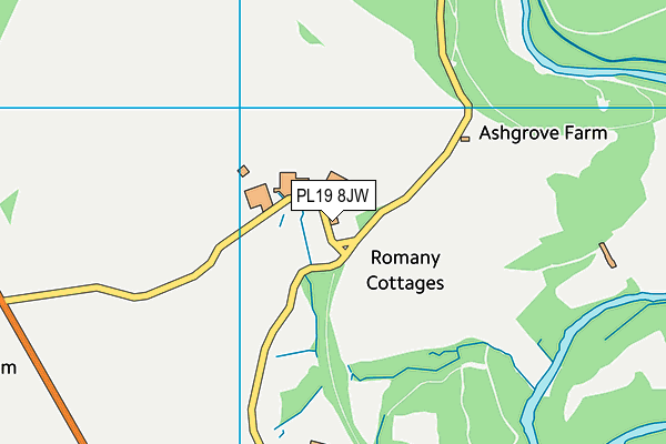 PL19 8JW map - OS VectorMap District (Ordnance Survey)