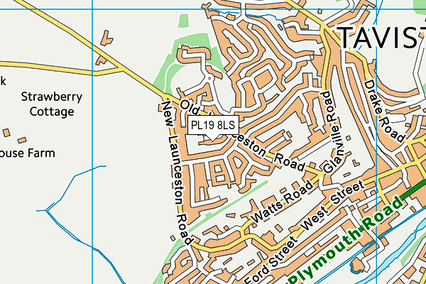 PL19 8LS map - OS VectorMap District (Ordnance Survey)