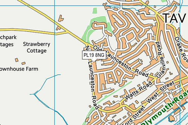 PL19 8NG map - OS VectorMap District (Ordnance Survey)