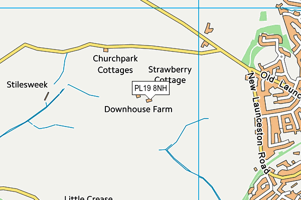 PL19 8NH map - OS VectorMap District (Ordnance Survey)