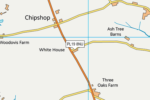 PL19 8NU map - OS VectorMap District (Ordnance Survey)