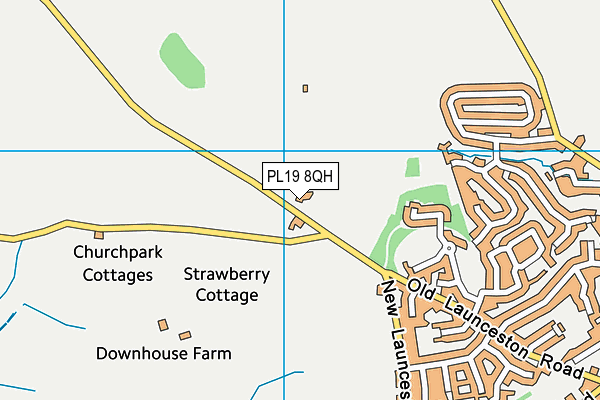 PL19 8QH map - OS VectorMap District (Ordnance Survey)