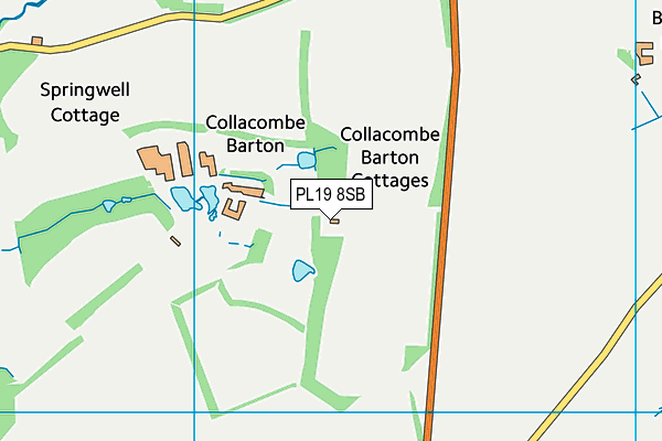 PL19 8SB map - OS VectorMap District (Ordnance Survey)