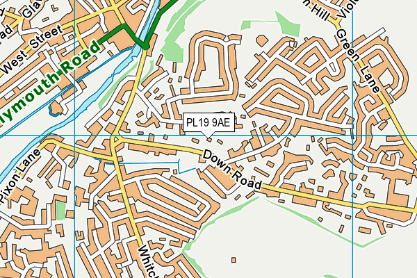 PL19 9AE map - OS VectorMap District (Ordnance Survey)