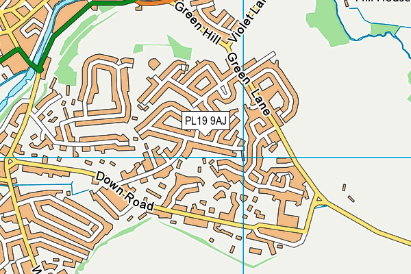 PL19 9AJ map - OS VectorMap District (Ordnance Survey)