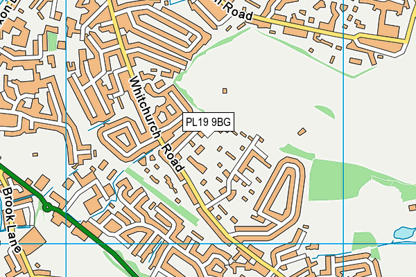 PL19 9BG map - OS VectorMap District (Ordnance Survey)