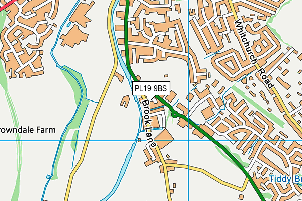PL19 9BS map - OS VectorMap District (Ordnance Survey)
