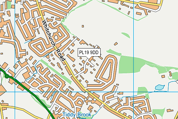 Tavistock Cricket Club map (PL19 9DD) - OS VectorMap District (Ordnance Survey)