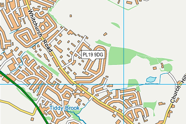 PL19 9DG map - OS VectorMap District (Ordnance Survey)