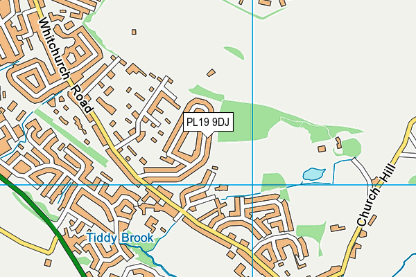 PL19 9DJ map - OS VectorMap District (Ordnance Survey)