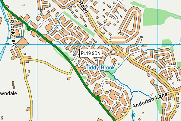 PL19 9DN map - OS VectorMap District (Ordnance Survey)