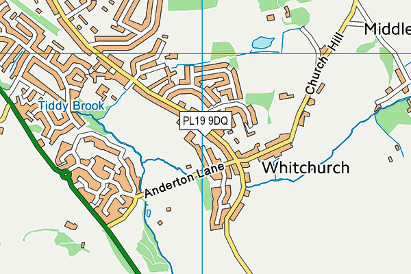 PL19 9DQ map - OS VectorMap District (Ordnance Survey)