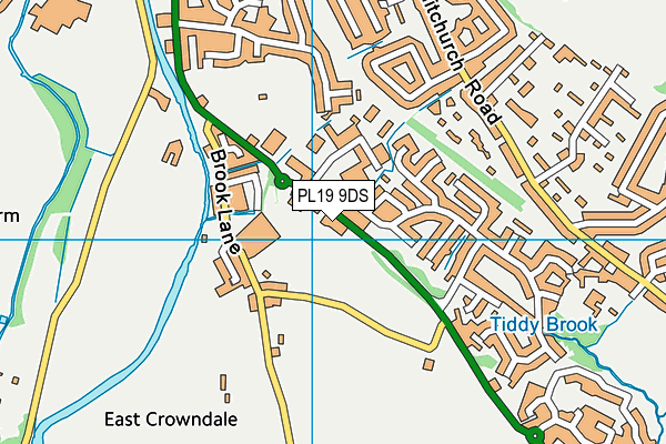 PL19 9DS map - OS VectorMap District (Ordnance Survey)