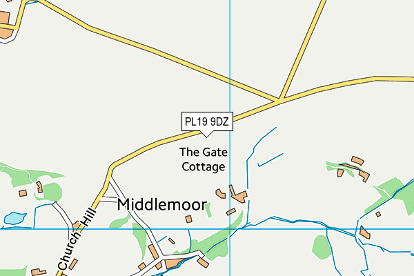 PL19 9DZ map - OS VectorMap District (Ordnance Survey)