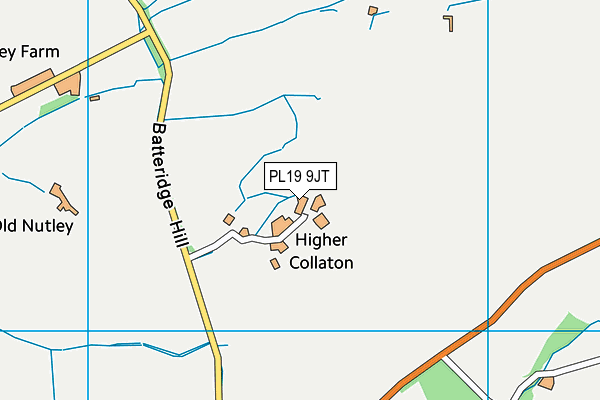 PL19 9JT map - OS VectorMap District (Ordnance Survey)