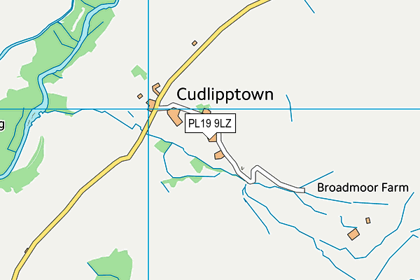 PL19 9LZ map - OS VectorMap District (Ordnance Survey)