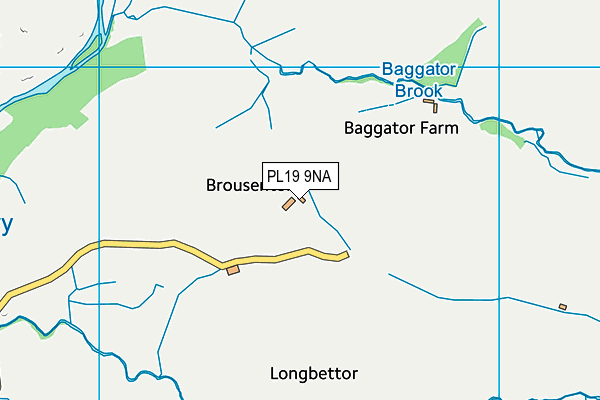 PL19 9NA map - OS VectorMap District (Ordnance Survey)