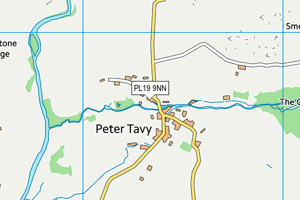 PL19 9NN map - OS VectorMap District (Ordnance Survey)